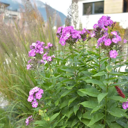 In Near Stubai Glacier Skiing Apartamento *